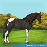 Horse Color:Liver Chestnut Tobiano 