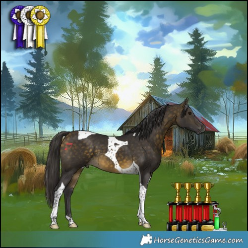 Horse Color:Buckskin Tobiano 