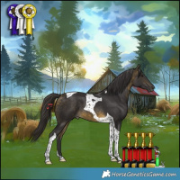 Horse Color:Buckskin Tobiano 