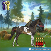 Horse Color:Buckskin Tobiano