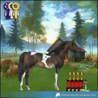 Horse Color:Buckskin Tobiano 