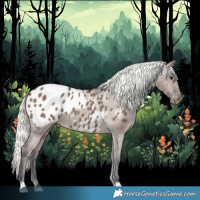Horse Color:Liver Red Dun Mushroom Appaloosa