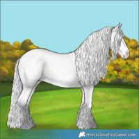 Horse Color:Cremello Splash  and Cremello Splash 
