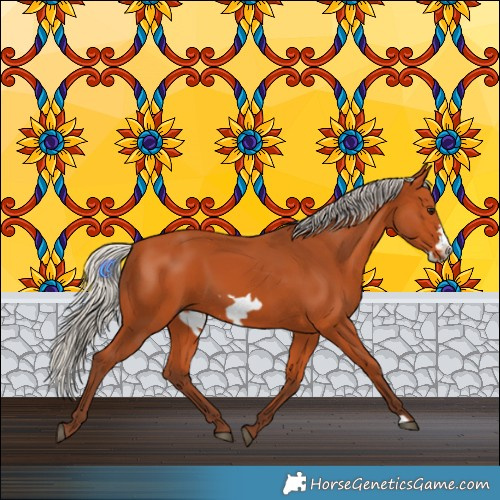 Horse Color:Silver Bay Frame 