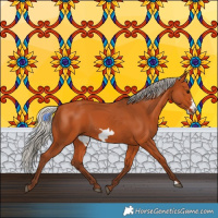 Horse Color:Silver Bay Frame 
