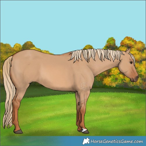 Horse Color:Red Dun 