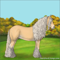 Horse Color:Palomino 