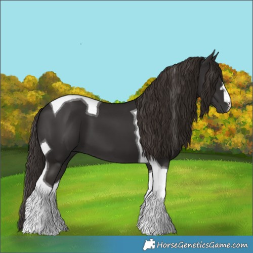 Horse Color:Liver Chestnut Tobiano 