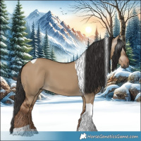 Horse Color:Gray Liver Red Dun Tobiano 