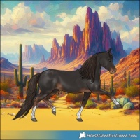 Horse Color:Liver Chestnut Tobiano 