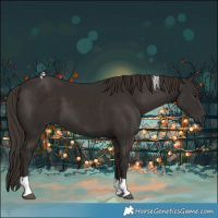 Horse Color:Liver Chestnut Tobiano 
