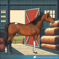 Horse Color:Bay Tobiano 
