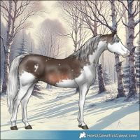 Horse Color:White Spotted Liver Chestnut Mushroom Splash 