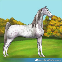 Horse Color:Platinum White Spotted Liver Red Dun Ice Rabicano 