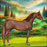 Horse Color:Red Roan Splash 