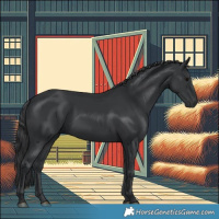 Horse Color:Black 