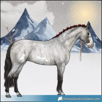 Horse Color:Buckskin Roan Sabino Frame 