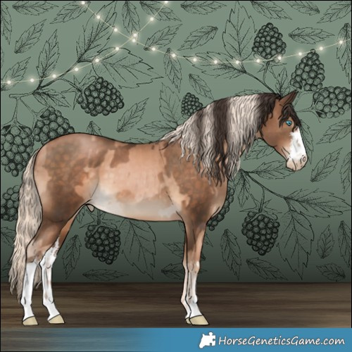 Horse Color:Chocolate Palomino Pearl  and White Spotted Bay Pearl 