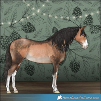 Horse Color:Chocolate Palomino Pearl  and White Spotted Bay Pearl 