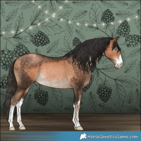 Horse Color:Chocolate Palomino Pearl and White Spotted Bay Pearl