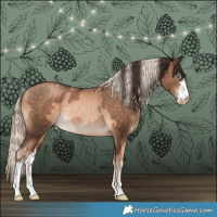 Horse Color:Chocolate Palomino Pearl  and White Spotted Bay Pearl 