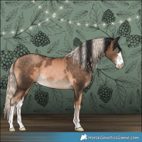Horse Color:Chocolate Palomino Pearl  and White Spotted Bay Pearl 