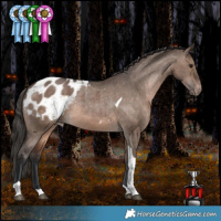Horse Color:Brown Dun Tobiano Appaloosa Rabicano