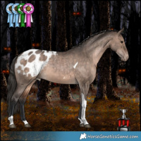 Horse Color:Brown Dun Tobiano Appaloosa Rabicano 