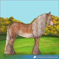 Horse Color:White Spotted Liver Chestnut Mushroom Tobiano  and Chestnut 