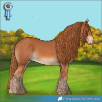 Horse Color:Chestnut and Chestnut