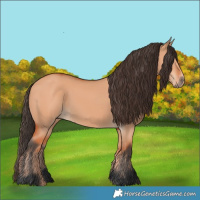 Horse Color:Bay Dun