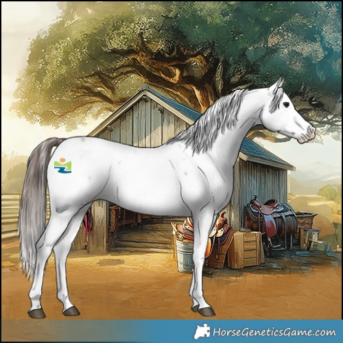 Horse Color:Bay Sabino Frame Appaloosa 
