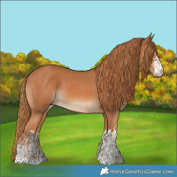 Horse Color:Chestnut and Chestnut
