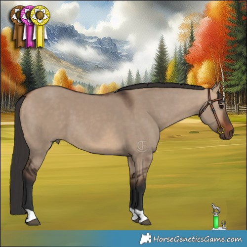 Horse Color:Bay Dun 