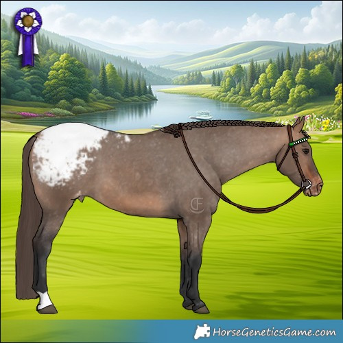 Horse Color:Bay Dun Snowcap 
