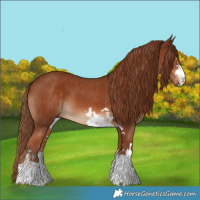 Horse Color:Chestnut and Chestnut
