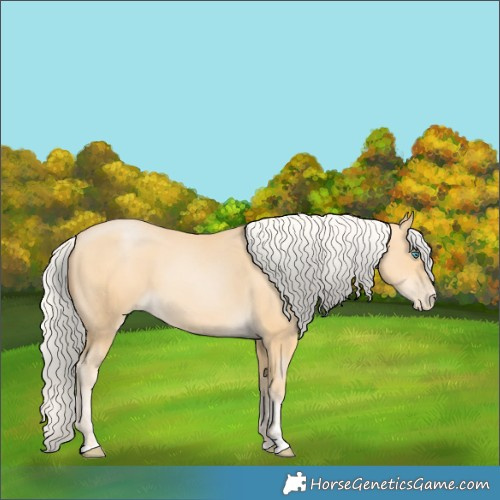 Horse Color:Silver Buckskin Pearl 