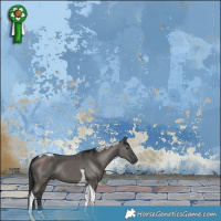 Horse Color:Grullo Tobiano