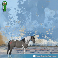 Horse Color:Grullo Tobiano