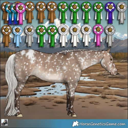 Horse Color:White Spotted Silver Brown Dun Snowflake Varnish Rabicano 