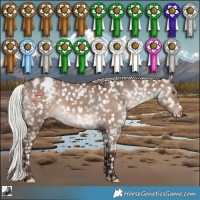 Horse Color:White Spotted Silver Brown Dun Appaloosa Rabicano 