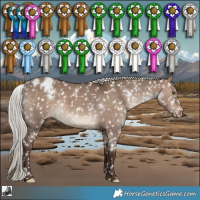 Horse Color:White Spotted Silver Brown Dun Appaloosa Rabicano