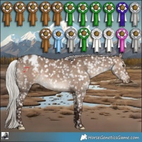 Horse Color:White Spotted Silver Brown Dun Appaloosa Rabicano