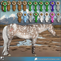 Horse Color:White Spotted Silver Brown Dun Appaloosa Rabicano 
