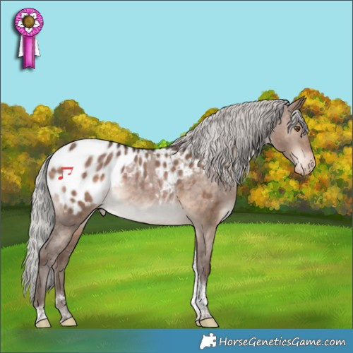 Horse Color:Silver Bay Dun Tobiano Appaloosa Rabicano 