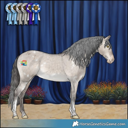 Horse Color:White Spotted Brown Dun Tobiano Appaloosa Rabicano 