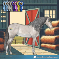Horse Color:White Spotted Brown Dun Tobiano Varnish Rabicano 