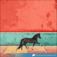 Horse Color:Brown Tobiano 