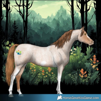 Horse Color:Red Roan Pearl Tobiano Frame 