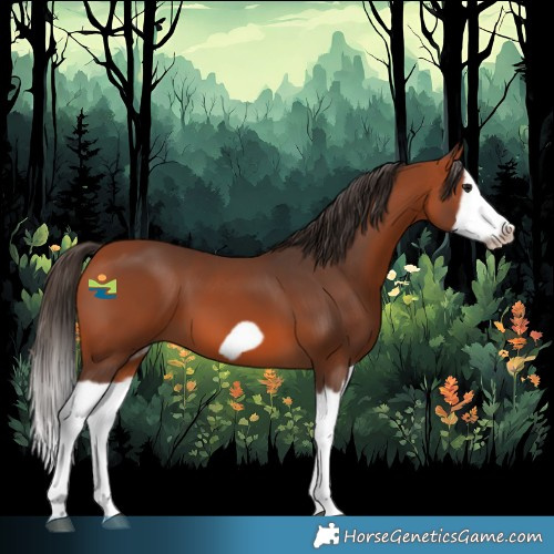 Horse Color:Bay Splash Frame 